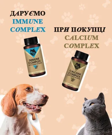 Даруємо IMMUNE COMPLEX при покупці CALCIUM COMPLEX