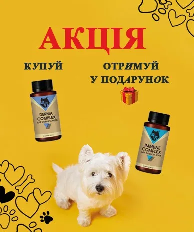 Даруємо IMMUNE COMPLEX при покупці DERMA COMPLEX