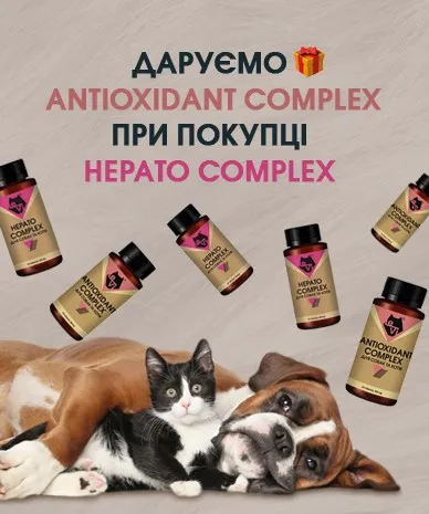 Даруємо ANTIOXIDANT COMPLEX при покупці HEPATO COMPLEX