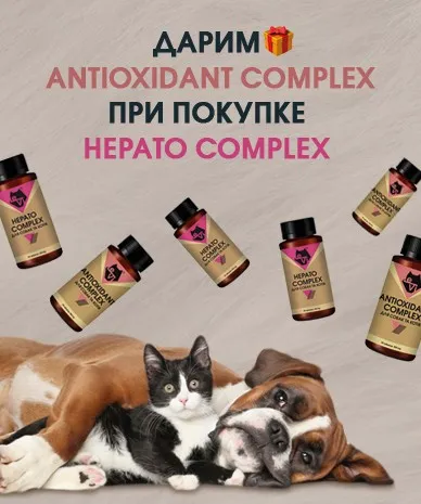 Дарим ANTIOXIDANT COMPLEX при покупке HEPATO COMPLEX