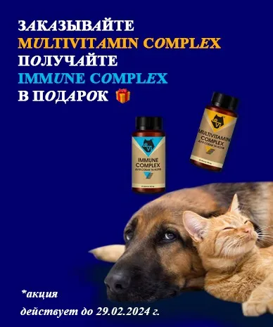 Дарим IMMUNE COMPLEX при покупке MULTIVITAMIN COMPLEX