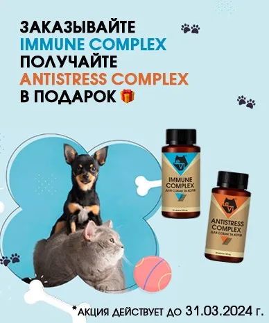 Дарим IMMUNE COMPLEX при покупке ANTISTRESS COMPLEX